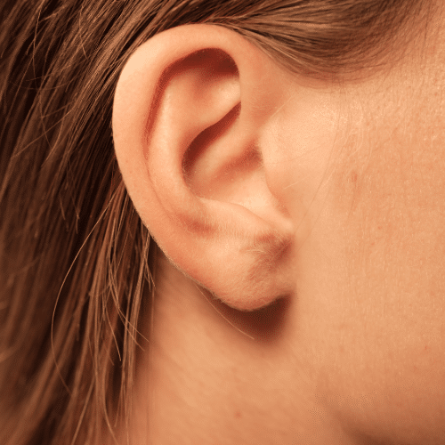 entretien de l'oreille
