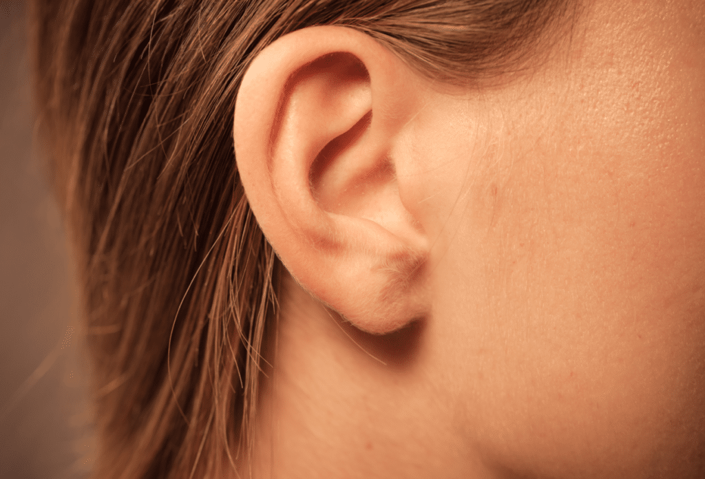 Anatomie de l'oreille externe : tout savoir - Ideal Audition - Ideal  Audition
